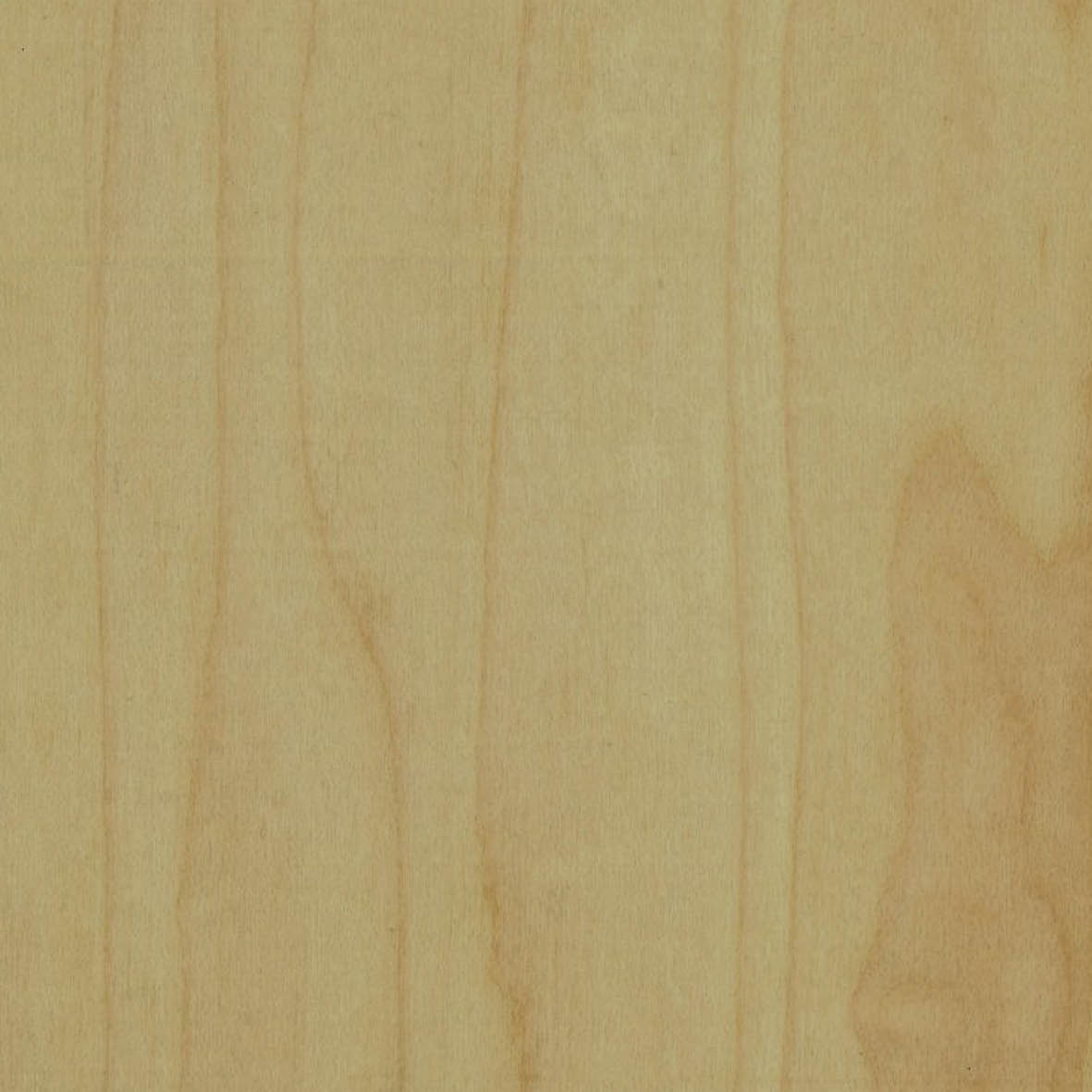 Wood Veneer - Maple - Crown Cut - LVR 54.28
