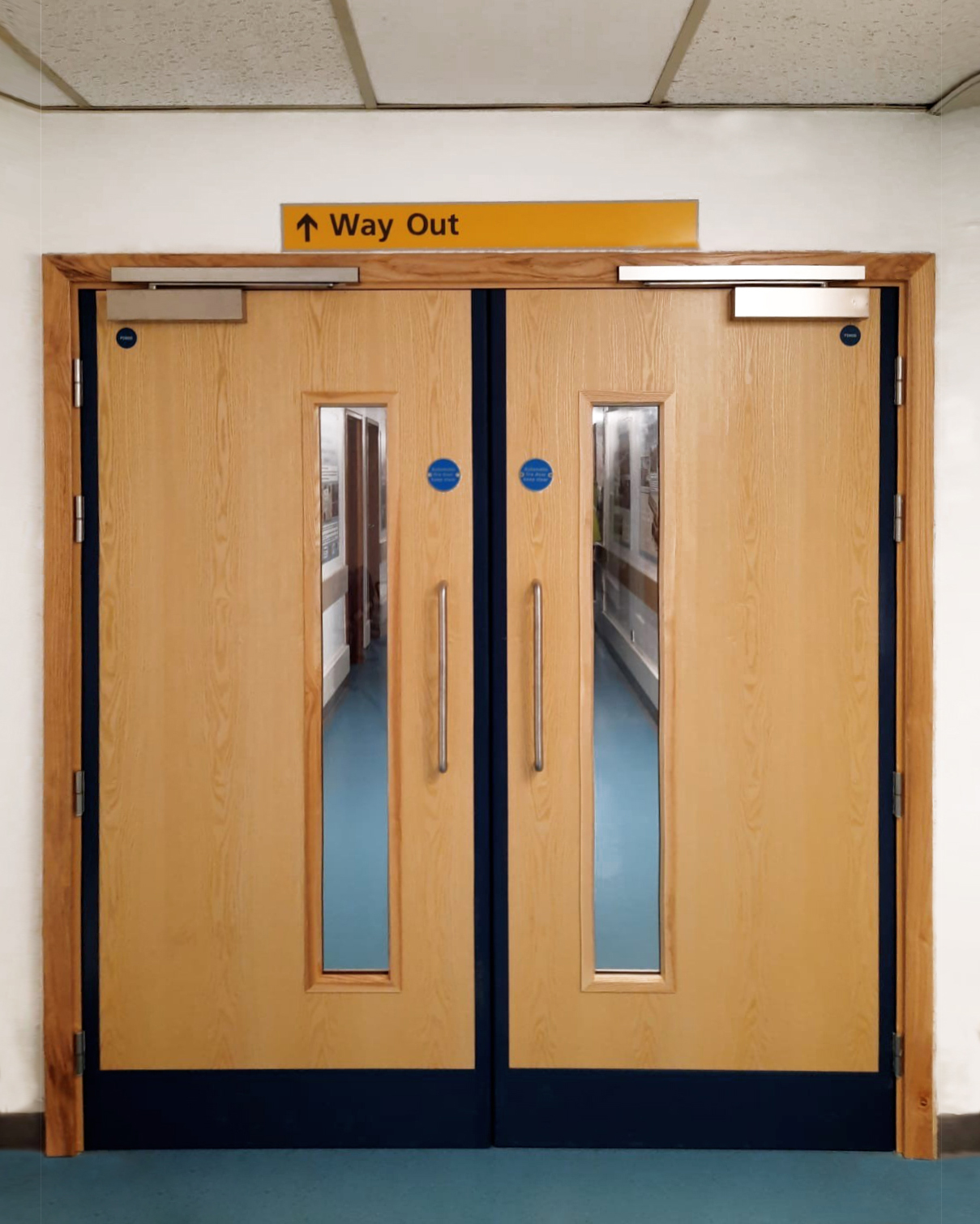 Hospital Fire Doors | Fire Doors for Healthcare Facilities | Ahmarra